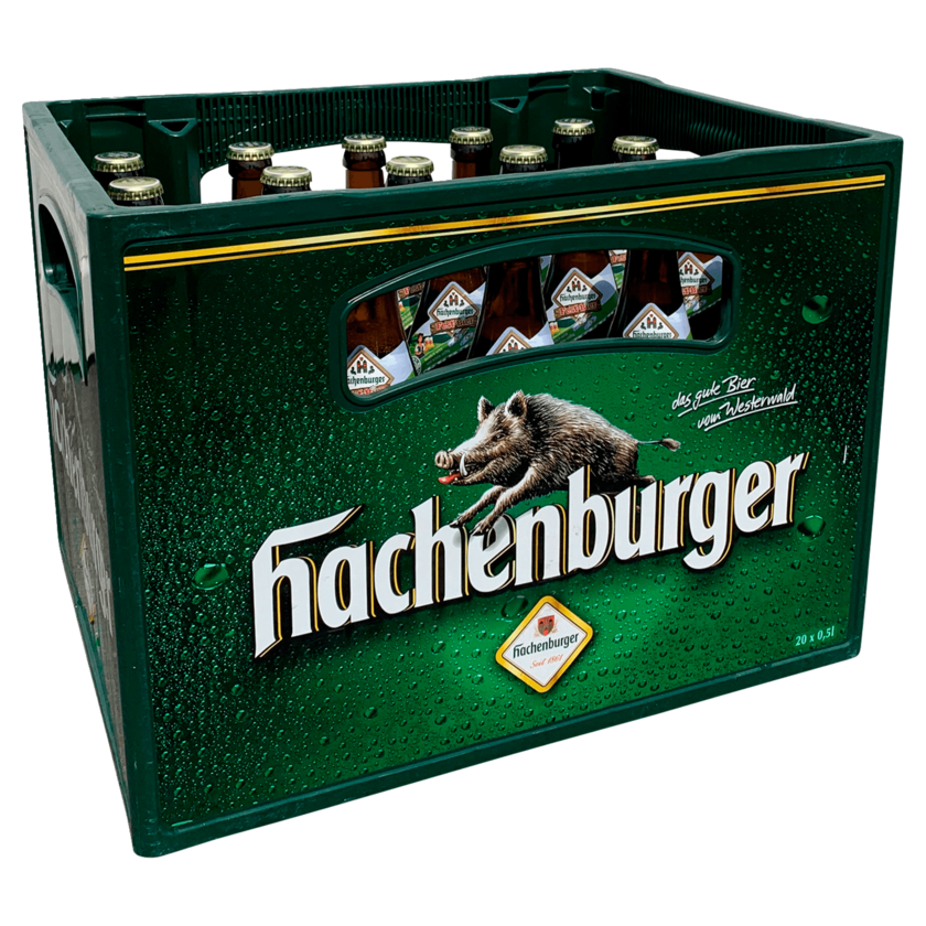 Hachenburger Festbier 20x0,5l